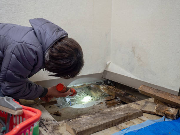 Best Mold Odor Removal Services  in Clark Mills, NY
