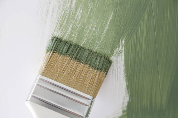 Clark Mills, NY Mold Removal Company