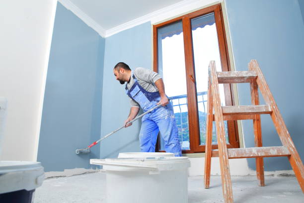 Best Mold Documentation for Insurance Claims  in Clark Mills, NY