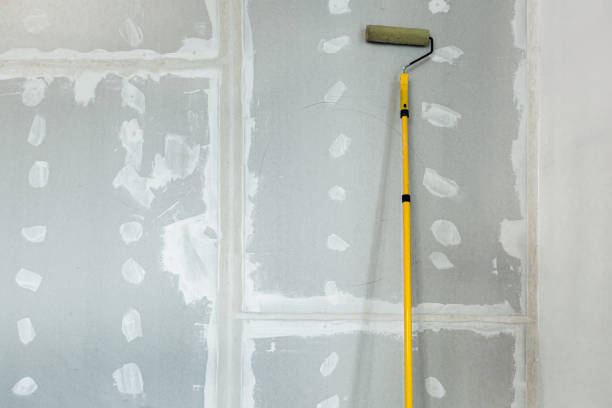 Best Environmental Consulting for Mold Prevention  in Clark Mills, NY