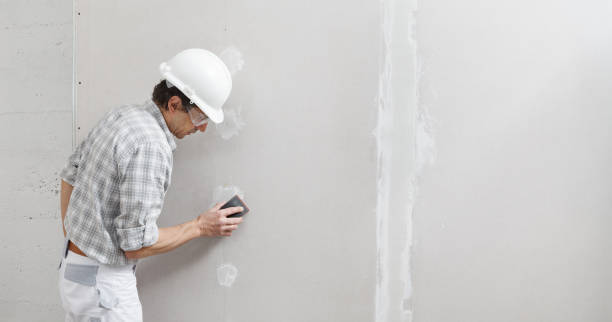 Best Post-Construction Mold Inspection  in Clark Mills, NY