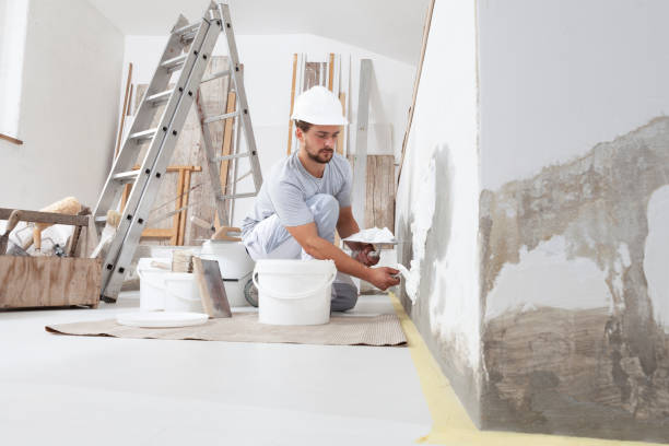 Best Dehumidification Services  in Clark Mills, NY