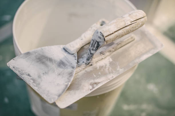 Best Attic Mold Removal  in Clark Mills, NY